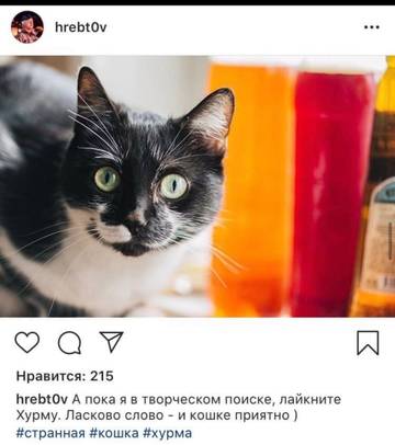 https://upforme.ru/uploads/001a/be/49/8/t350170.jpg