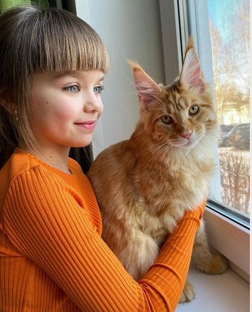 https://upforme.ru/uploads/001a/c0/03/2/400306.jpg