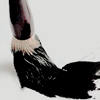 https://upforme.ru/uploads/001a/c0/74/754/469114.png