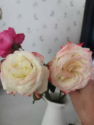https://upforme.ru/uploads/001a/c0/d2/3/t302021.jpg