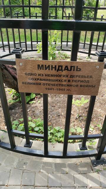 https://upforme.ru/uploads/001a/c0/d2/3/t314892.jpg