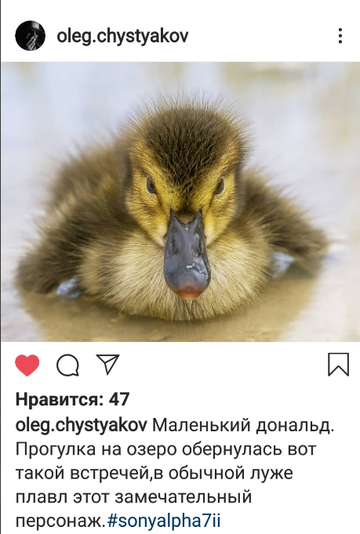 https://upforme.ru/uploads/001a/c0/d2/4/t274414.png