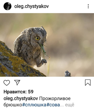 https://upforme.ru/uploads/001a/c0/d2/4/t35307.png