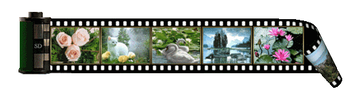https://upforme.ru/uploads/001a/c0/d2/4/t580542.png