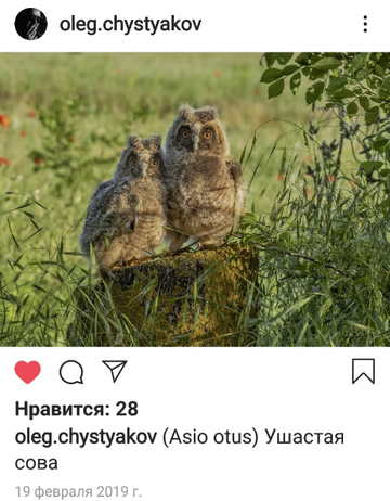 https://upforme.ru/uploads/001a/c0/d2/4/t625369.png