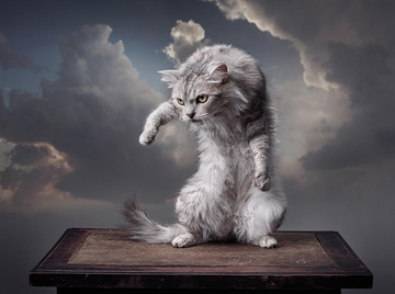 https://upforme.ru/uploads/001a/c0/d2/4/t934191.png
