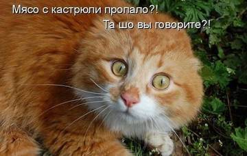 https://upforme.ru/uploads/001a/c0/d2/5/t170741.jpg