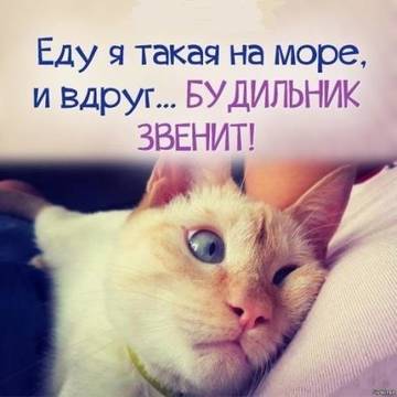 https://upforme.ru/uploads/001a/c0/d2/5/t491599.jpg