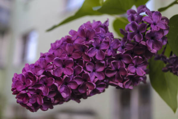 https://upforme.ru/uploads/001a/c0/d2/9/t200122.jpg