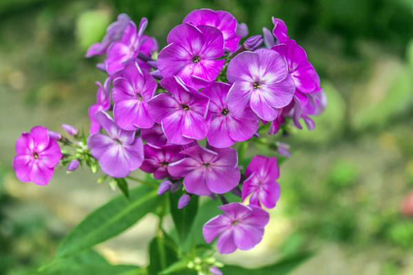 https://upforme.ru/uploads/001a/c0/d2/9/t839717.jpg