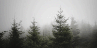 https://upforme.ru/uploads/001a/c4/45/14/297358.gif