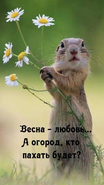 https://upforme.ru/uploads/001a/cb/5f/2/t122229.jpg