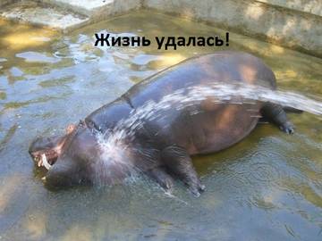 https://upforme.ru/uploads/001a/cb/5f/2/t311854.jpg