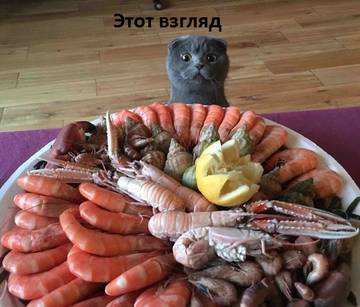 https://upforme.ru/uploads/001a/cb/5f/2/t451249.jpg