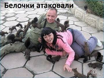 https://upforme.ru/uploads/001a/cb/5f/2/t992892.jpg