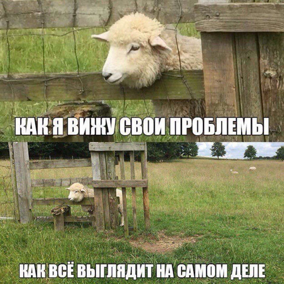 https://upforme.ru/uploads/001a/cb/5f/4/29039.jpg