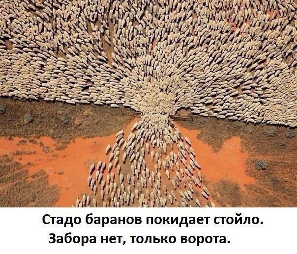 https://upforme.ru/uploads/001a/cb/5f/4/364471.jpg