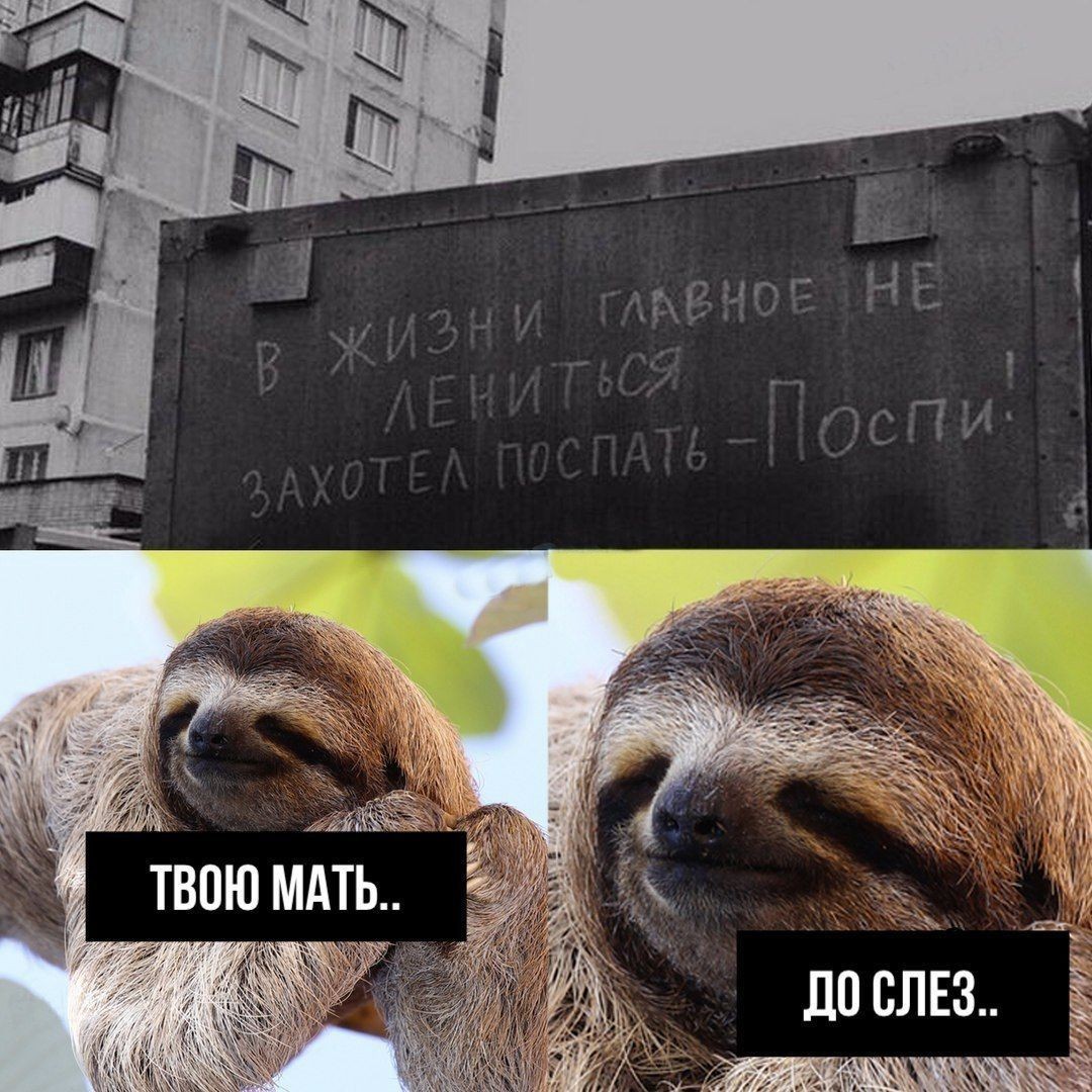 https://upforme.ru/uploads/001a/cb/5f/4/370147.jpg