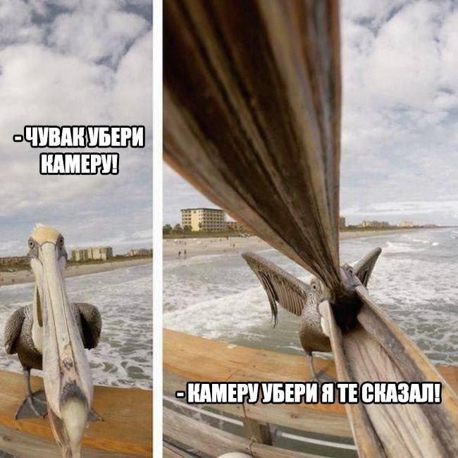 https://upforme.ru/uploads/001a/cb/5f/4/51989.jpg