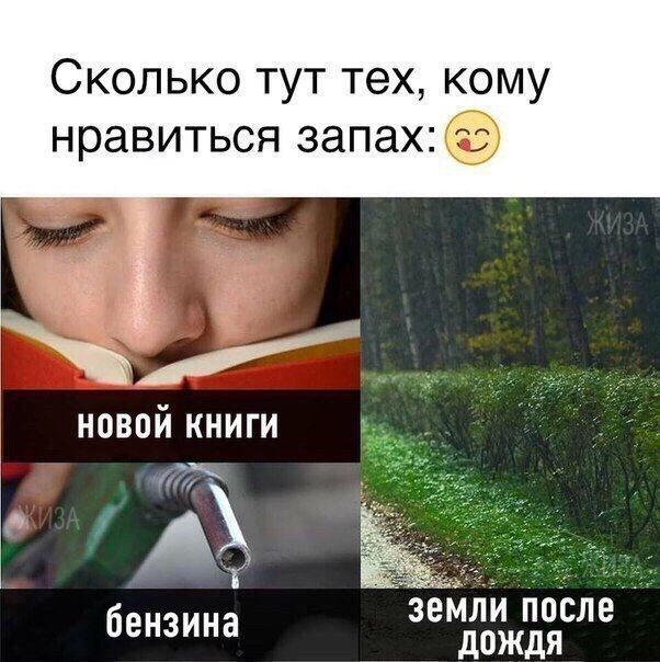 https://upforme.ru/uploads/001a/cb/5f/4/520893.jpg