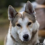 https://upforme.ru/uploads/001a/cd/5b/2/423001.jpg