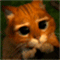 smalimg