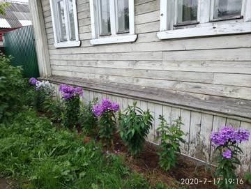 https://upforme.ru/uploads/001a/cf/46/3/t623723.jpg