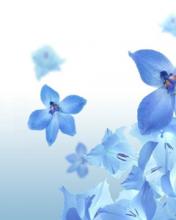 https://upforme.ru/uploads/001a/d3/13/2/100628.jpg