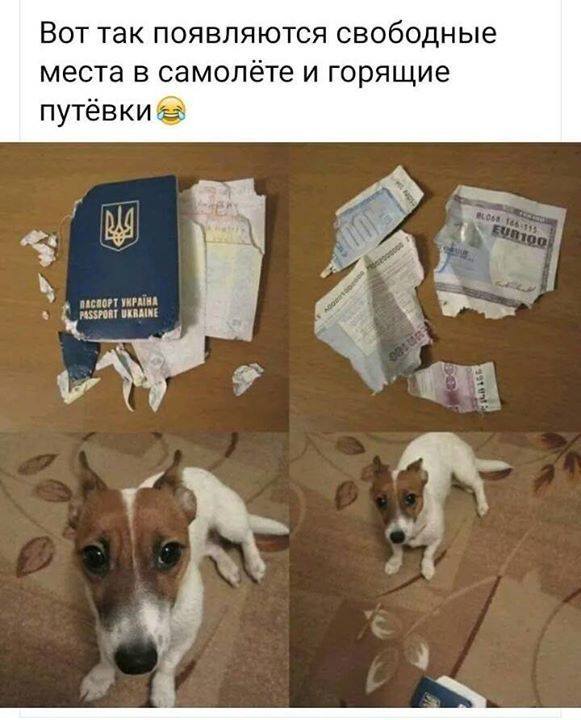 https://upforme.ru/uploads/001a/d7/76/198/t485739.jpg