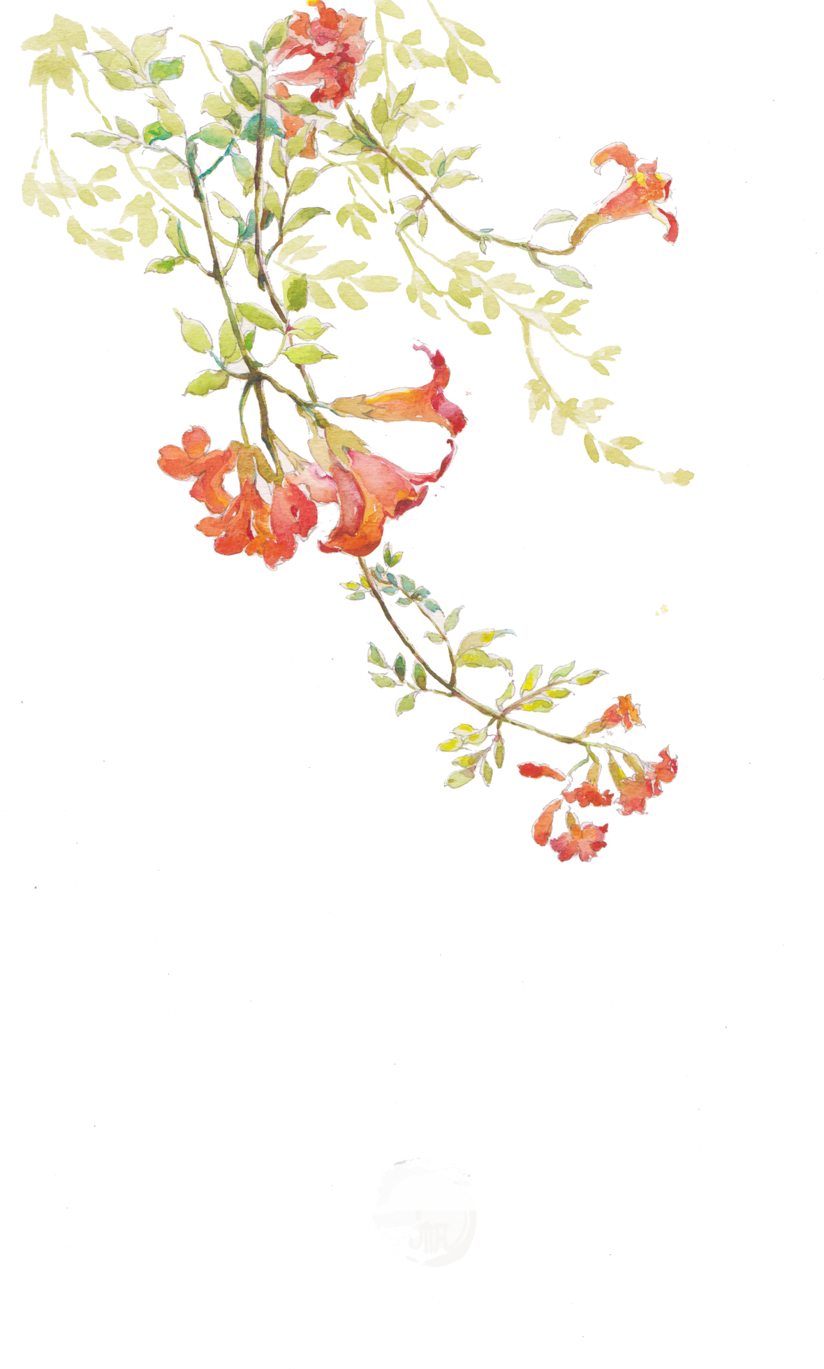 https://upforme.ru/uploads/001a/d9/23/2/868591.png