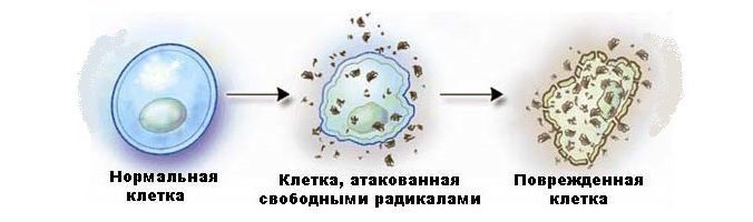 https://upforme.ru/uploads/001a/d9/f2/2/471689.jpg