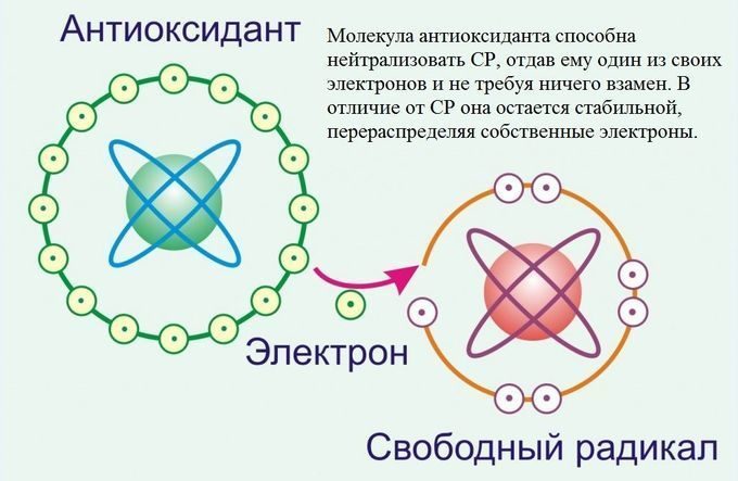 https://upforme.ru/uploads/001a/d9/f2/2/996493.jpg
