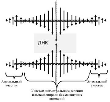 https://upforme.ru/uploads/001a/d9/f2/2/t118898.jpg