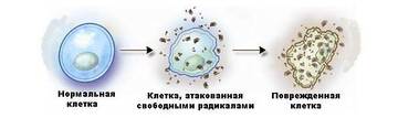 https://upforme.ru/uploads/001a/d9/f2/2/t471689.jpg