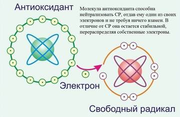 https://upforme.ru/uploads/001a/d9/f2/2/t996493.jpg