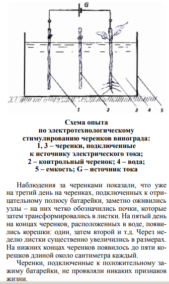 https://upforme.ru/uploads/001a/d9/f2/66/t137522.png