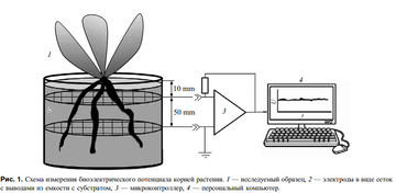 https://upforme.ru/uploads/001a/d9/f2/66/t534760.png