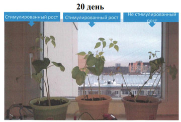 https://upforme.ru/uploads/001a/d9/f2/66/t736947.png
