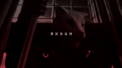 https://upforme.ru/uploads/001a/dc/48/2/264293.gif