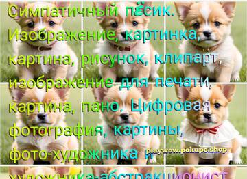https://upforme.ru/uploads/001a/dc/55/3/t413249.jpg