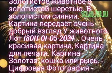 https://upforme.ru/uploads/001a/dc/55/3/t61909.jpg