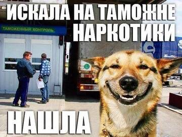 https://upforme.ru/uploads/001a/dc/55/3/t728494.jpg