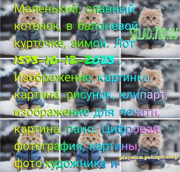 https://upforme.ru/uploads/001a/dc/55/30/t262552.jpg
