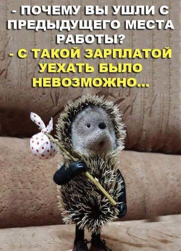 https://upforme.ru/uploads/001a/dc/55/46/t817479.jpg