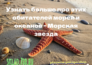 https://upforme.ru/uploads/001a/dc/55/46/t838593.png