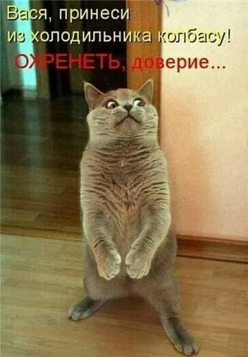 https://upforme.ru/uploads/001a/dc/55/46/t889060.jpg