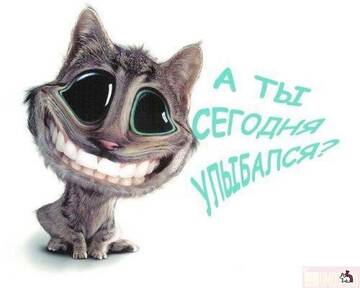 https://upforme.ru/uploads/001a/dc/55/46/t961498.jpg