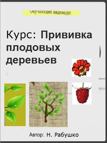 https://upforme.ru/uploads/001a/dc/55/8/t298348.jpg