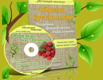 https://upforme.ru/uploads/001a/dc/55/8/t336468.jpg
