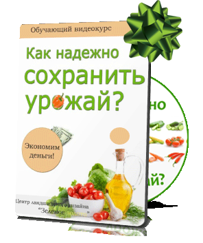 https://upforme.ru/uploads/001a/dc/55/8/t885581.jpg